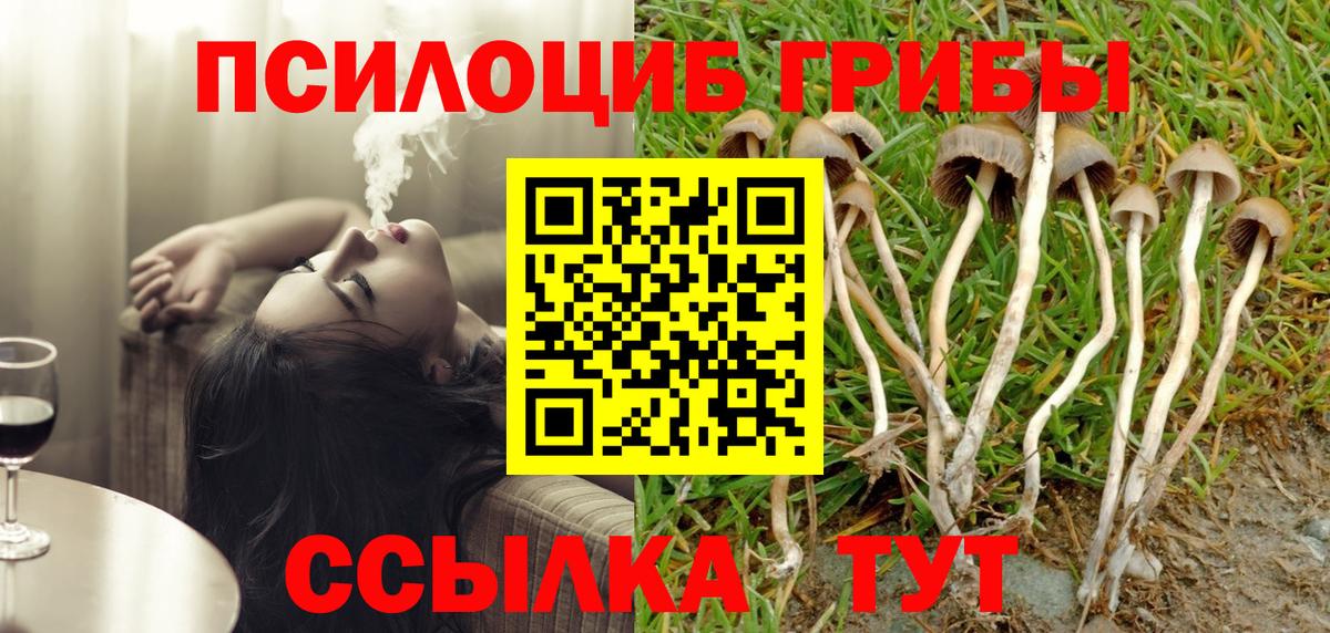 Семилуки  Галлюциногенные грибы ЛСД  Вход с VPN 